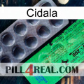 Cidala new04